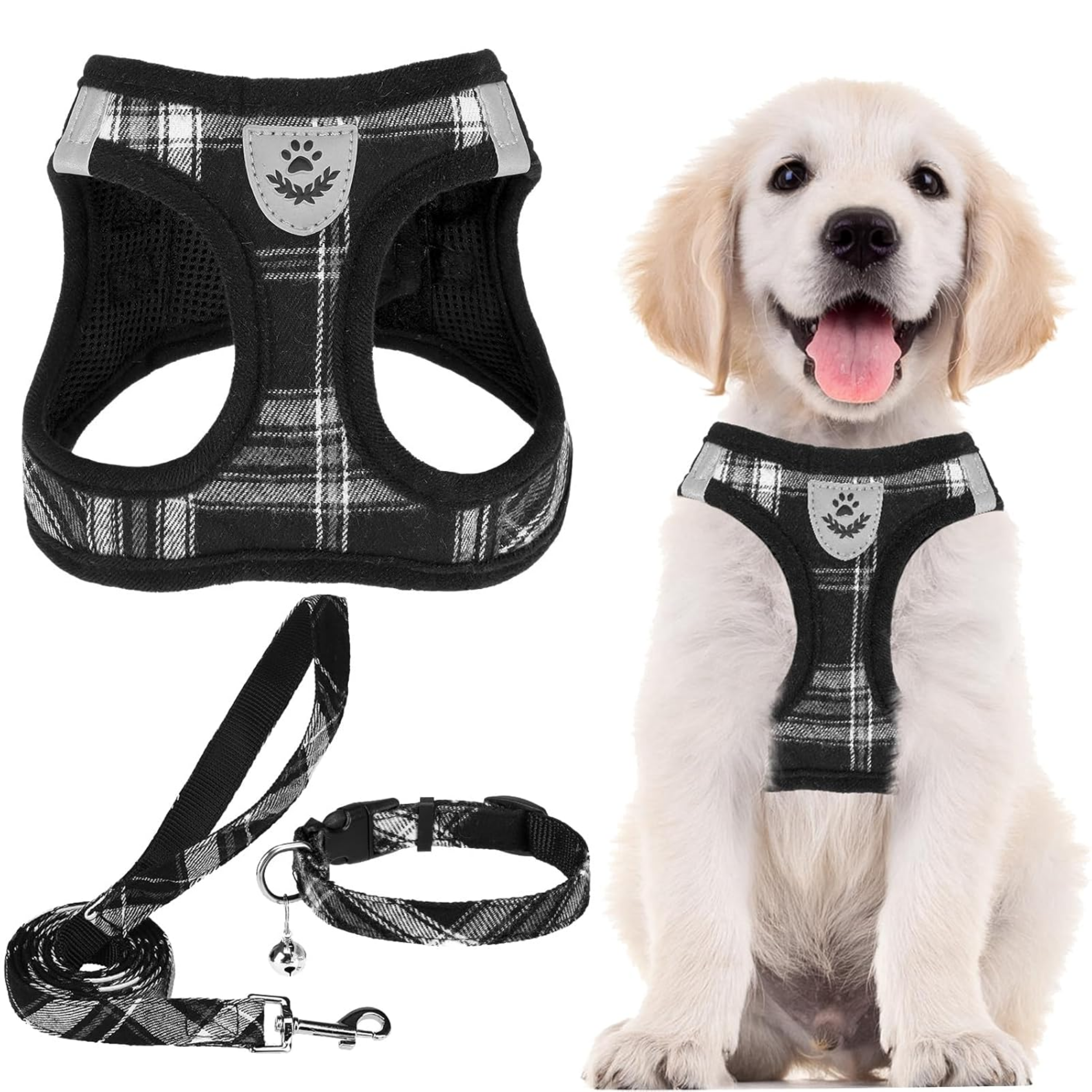 Harness and leash