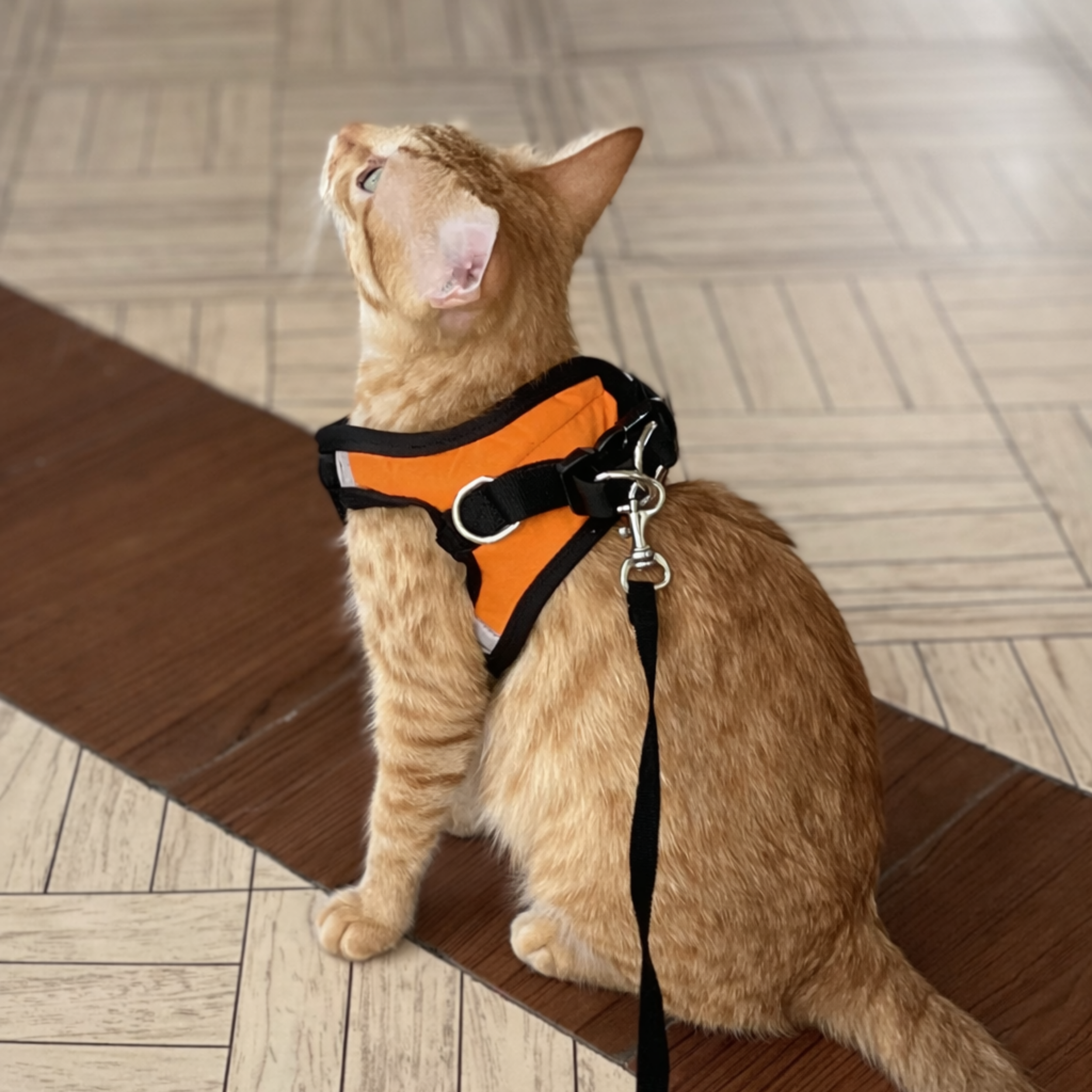 It's finally here: a secure fit.