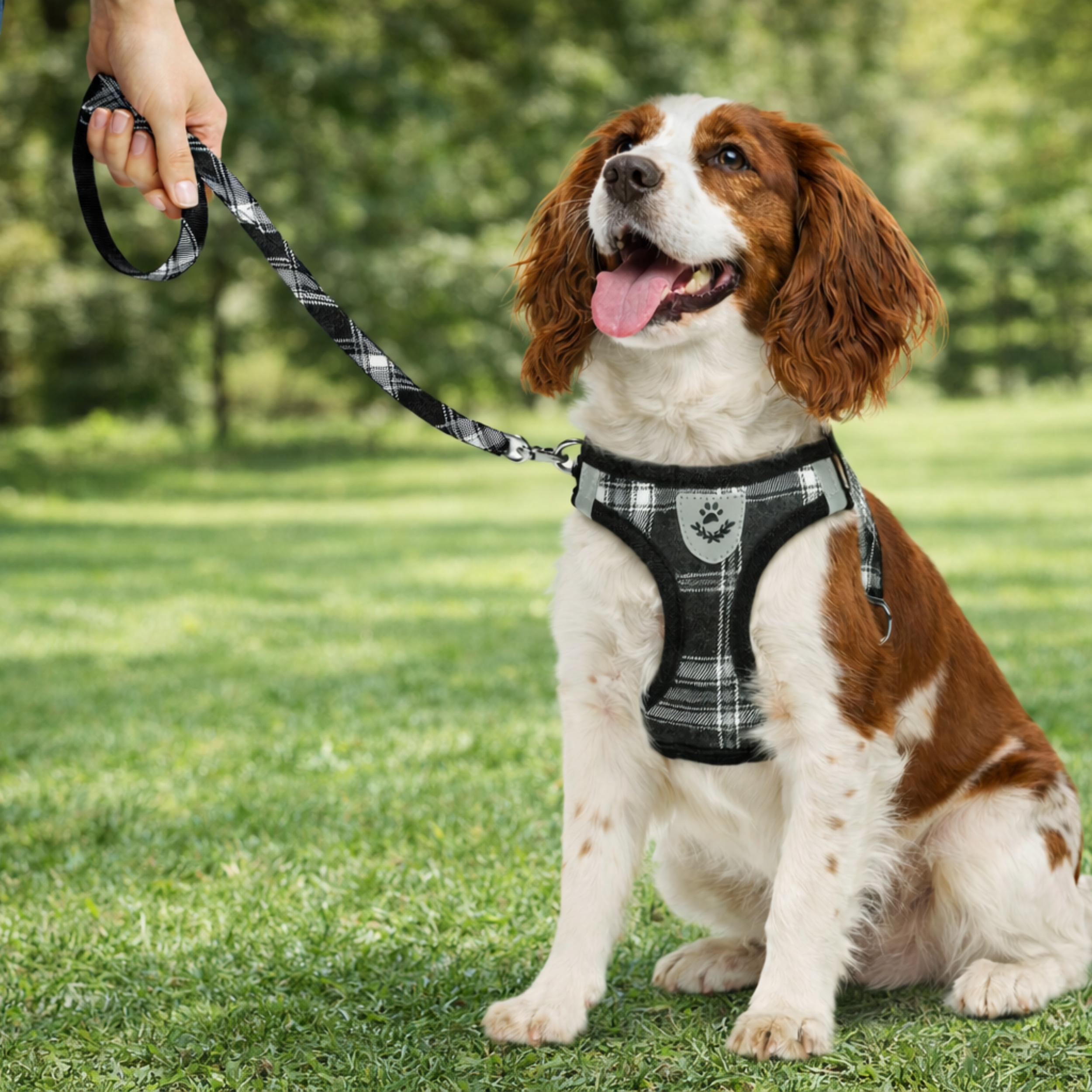 Comfortable and strong.