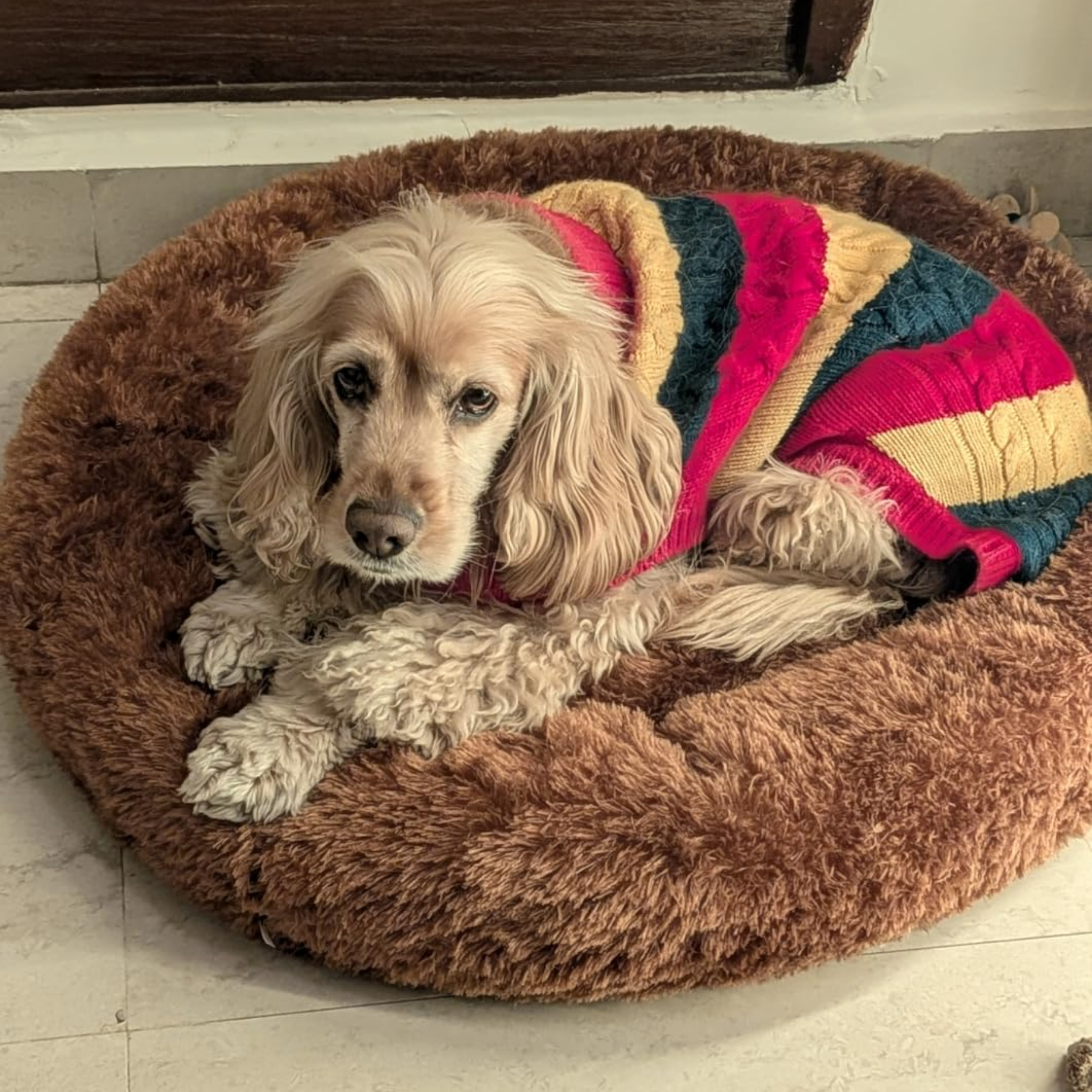 The perfect balance of soft and supportive.