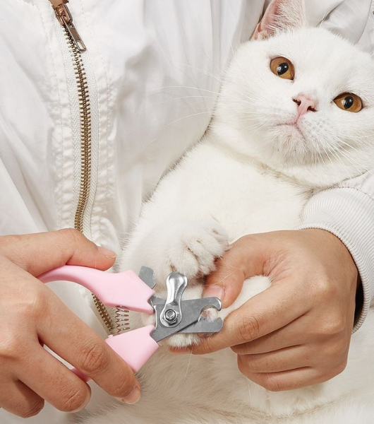 who we are section (11)